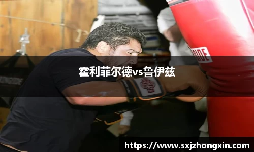 霍利菲尔德vs鲁伊兹