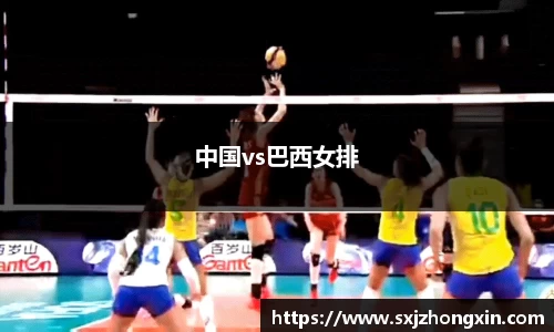 中国vs巴西女排
